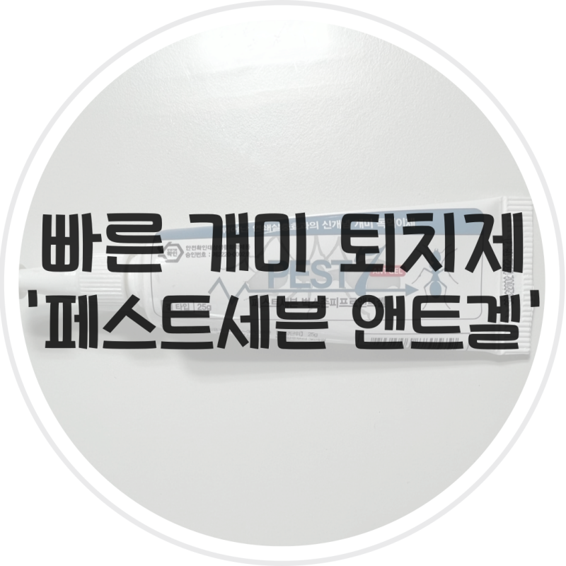 다이소 개미약 효과 없으면 페스트세븐 앤트겔로 개미 퇴치하세요