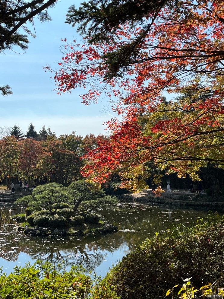  경주 11월 가족여행 불국사 단풍 구경 / 근처 가기좋은 카페 메이플