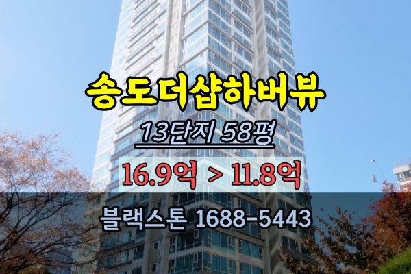 송도더샵하버뷰 경매 13단지 58평 송도아파트 대형평수