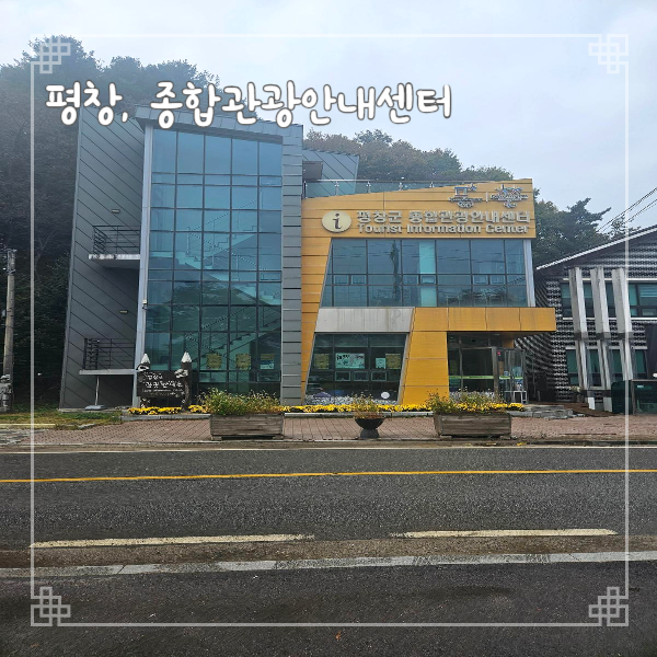  평창여행 꿀팁 평창군관광안내센터에서 여행자카드 발급받는 방법