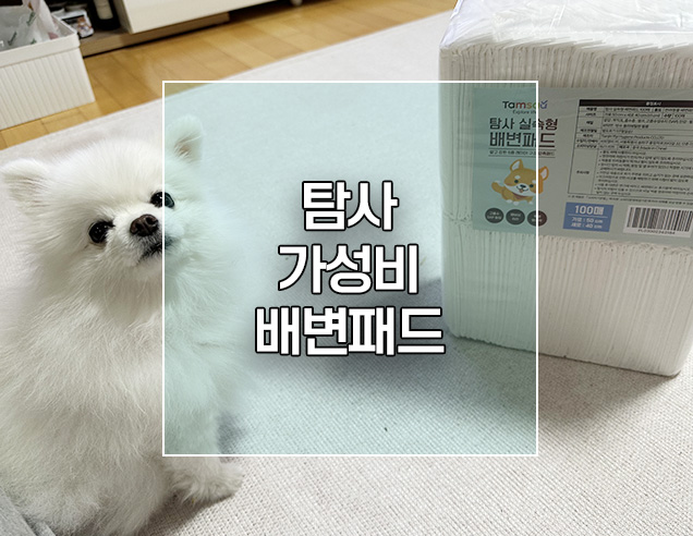  강아지 탐사 실속형 배변패드 소형견 가성비패드로 굿