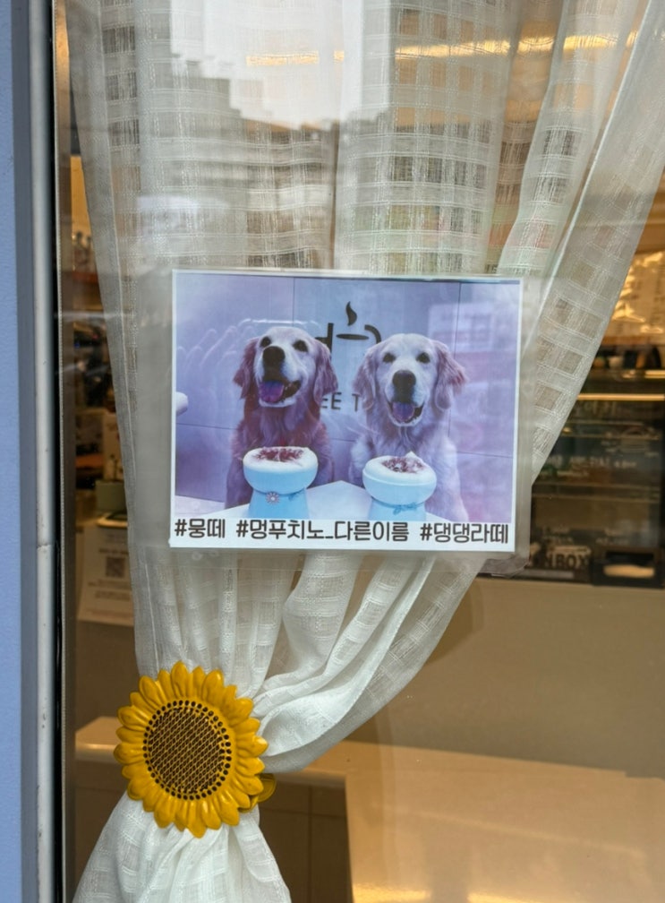  [서울 한남동] 커피더빅ㅣ멍푸치노를 파는 한남동 미니 카페 커피더빅ㅣ내돈내산