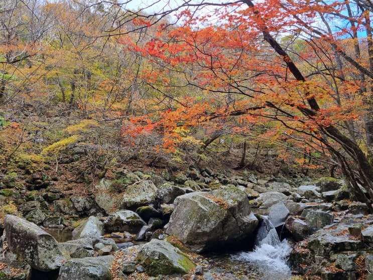  주말 무주 덕유산 등산 일기