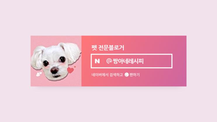  반려동물 펫 인플루언서 선정 4개월만에 8% 상위 진입, 애드포스트 수익 변화는?
