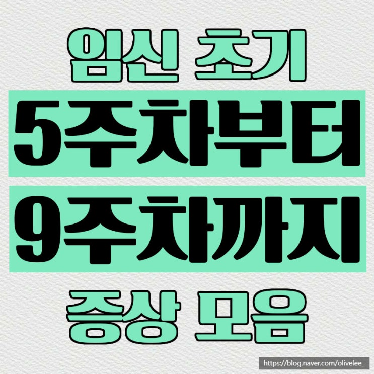  초산모 임신초기 5주, 6주, 7주, 8주, 9주차 증상 엽산, 입덧