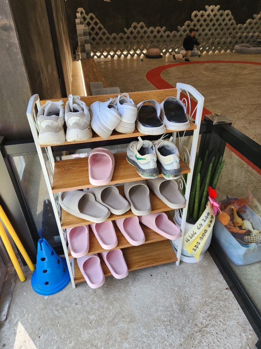 헤이땅콩 사진 6
