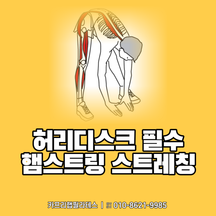  【약수역필라테스】 허리디스크에 필수 햄스트링 스트레칭