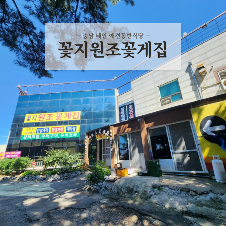  충남 태안 안면도 애견동반식당 꽃지해수욕장 게국지 맛집 꽃지원조꽃게집 내돈내산