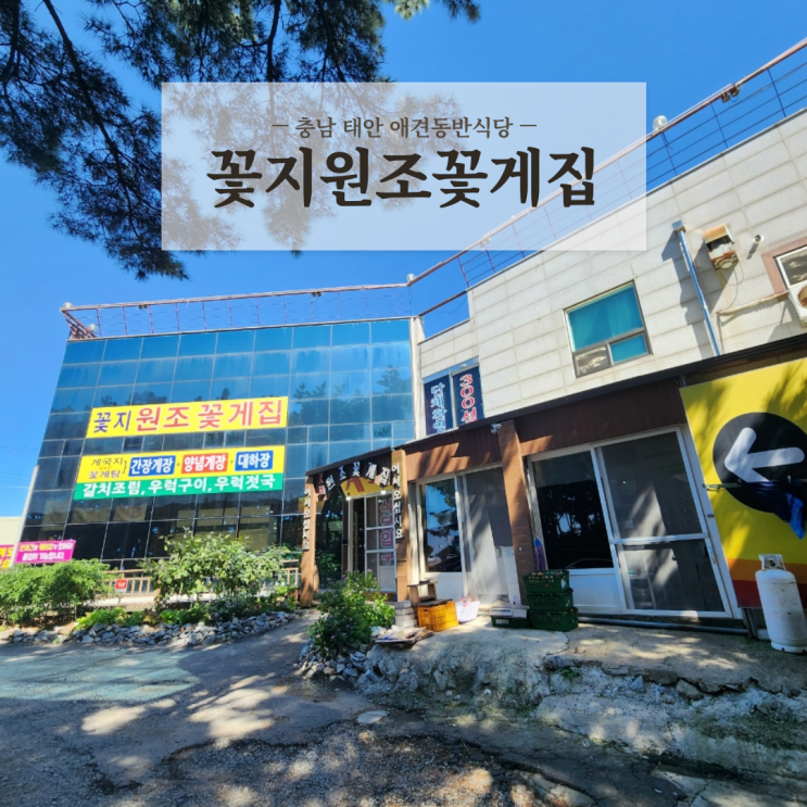 충남 태안 안면도 애견동반식당 꽃지해수욕장 게국지 맛집 꽃지원조꽃게집 내돈내산