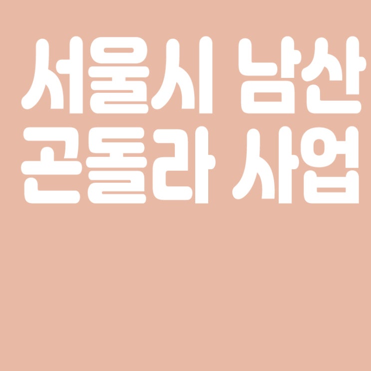 곤돌라 타고 남산까지 3분 만에 간다, 서울시 남산 곤돌라 사업 본격화