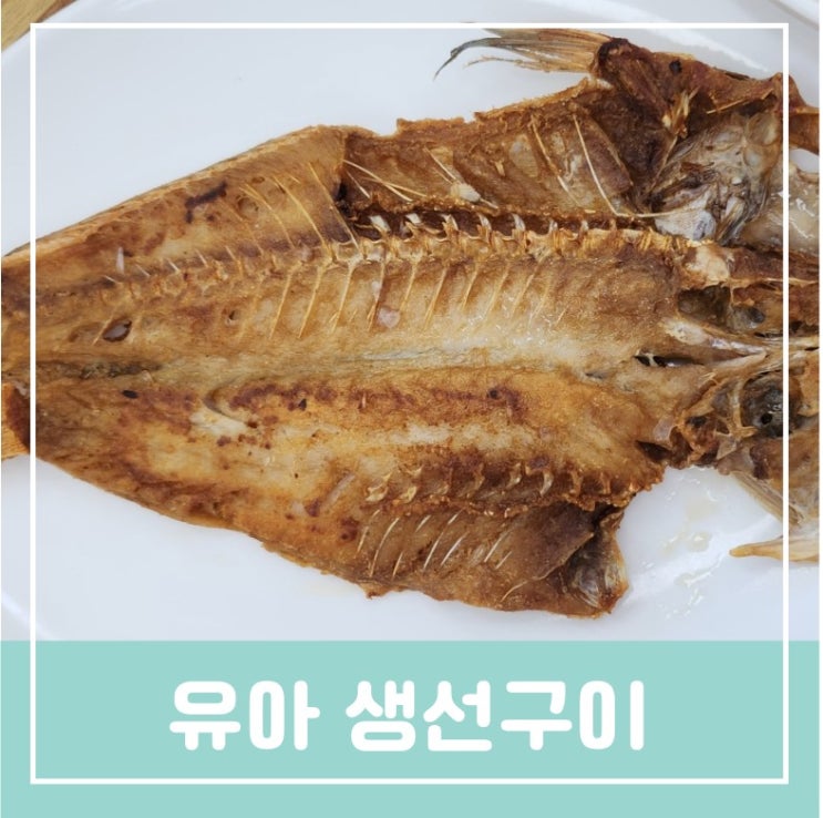 유아 초등학생 중학생 아이가 좋아하는 생선구이반찬요리 종류와 영양성분 먹을때 주의사항 고르는방법 만드는 방법 유아 초등학생 중학생 아이가 좋아하는 생선구이반찬요리 종류와 영양성분 먹을때 주의사항 고르는방법 만드는 방법