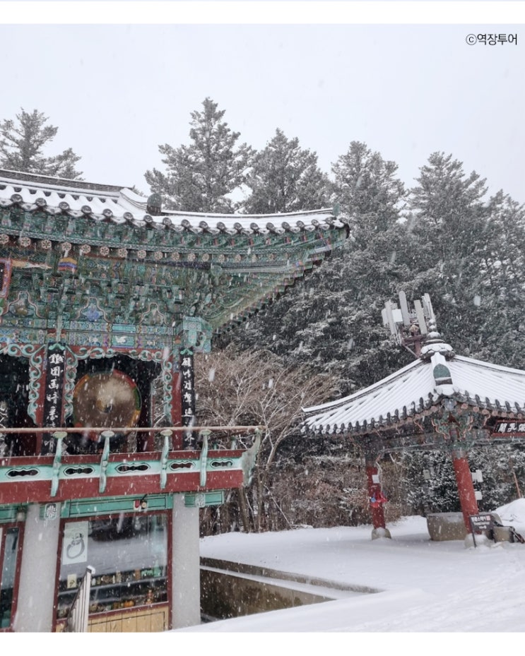  [여행다녀온사진] 오대산 월정사 전나무 숲 길