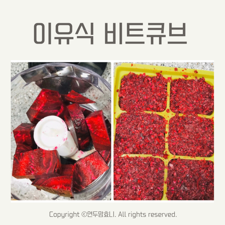 비트큐브 아기 중기이유식 냉동 야채큐브 1단계 2단계 시작 시기 비트큐브 아기 중기이유식 냉동 야채큐브 1단계 2단계 시작 시기