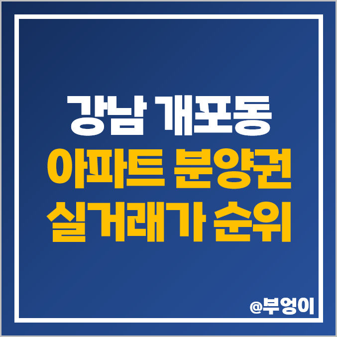 강남 개포동 아파트 분양권 매매 디에이치 퍼스티어 아이파크 시세 강남 개포동 아파트 분양권 매매 디에이치 퍼스티어 아이파크 시세