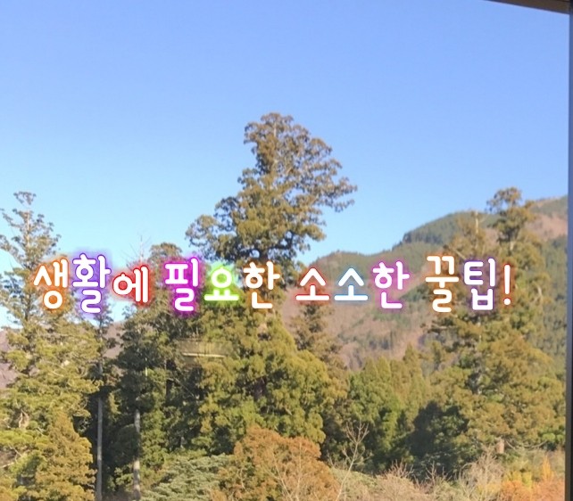살림에 필요한 소소한 정보! 살림에 필요한 소소한 정보!