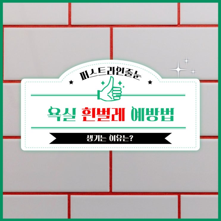  화장실 흰벌레 생기는 이유와 방지방법!