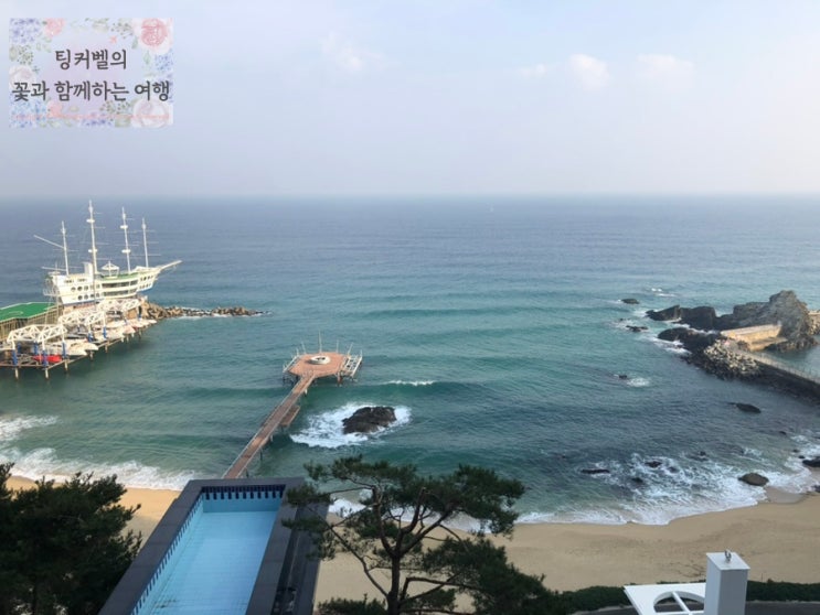  12월 국내여행지 강원도여행 가볼만한곳 새해 해돋이명소 일출시간 비치크루즈호텔 추천