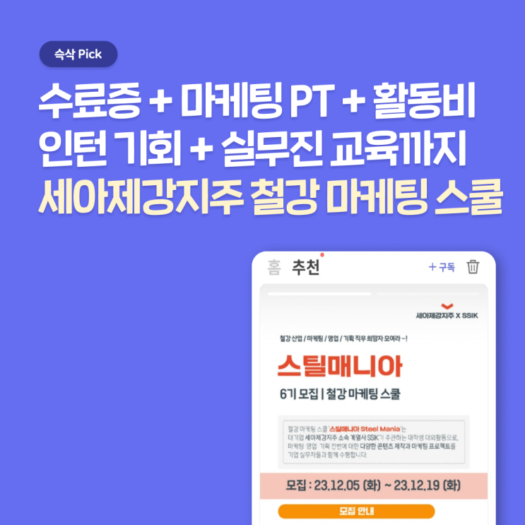  세아제강지주 철강 산업 마케팅/영업/기획 스틸매니아 6기, 직접 실무 마케팅 PT 참여하고 인턴 기회까지 받기
