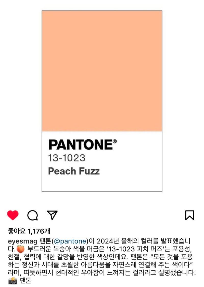 Apricot Crush Pantone Color Of The Year 2024