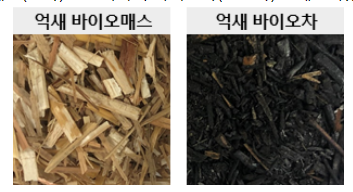 억새 유래 바이오차, 토양 건전성 증진 효과 확인 억새 유래 바이오차, 토양 건전성 증진 효과 확인