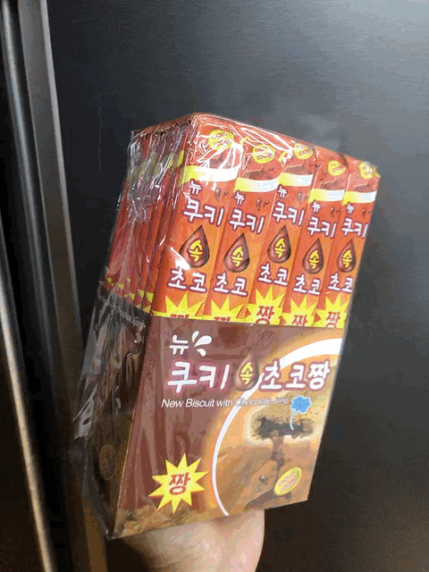  뉴쿠키속초코짱 40개 한박스 내돈내산 구입후기
