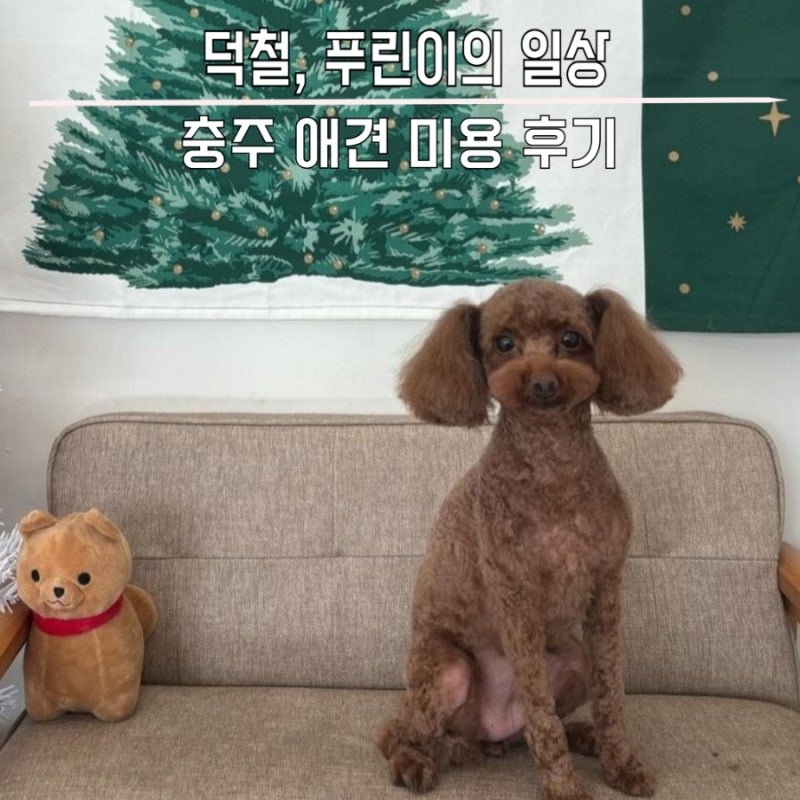 사진 2