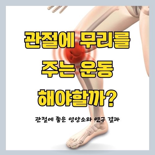  관절(무릎, 골반, 손목 등)에 나쁜 운동과 관절 및 근육통에 좋은 영양제 추천 (보스웰리아 효능)