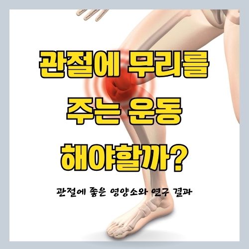 관절(무릎, 골반, 손목 등)에 나쁜 운동과 관절 및 근육통에 좋은 영양제 추천 (보스웰리아 효능)