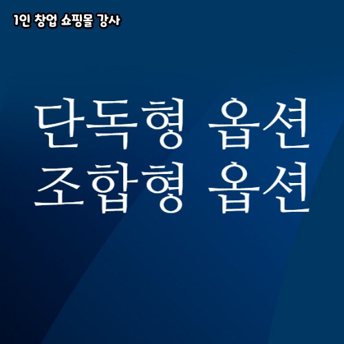  단독형 옵션 조합형 옵션 사례