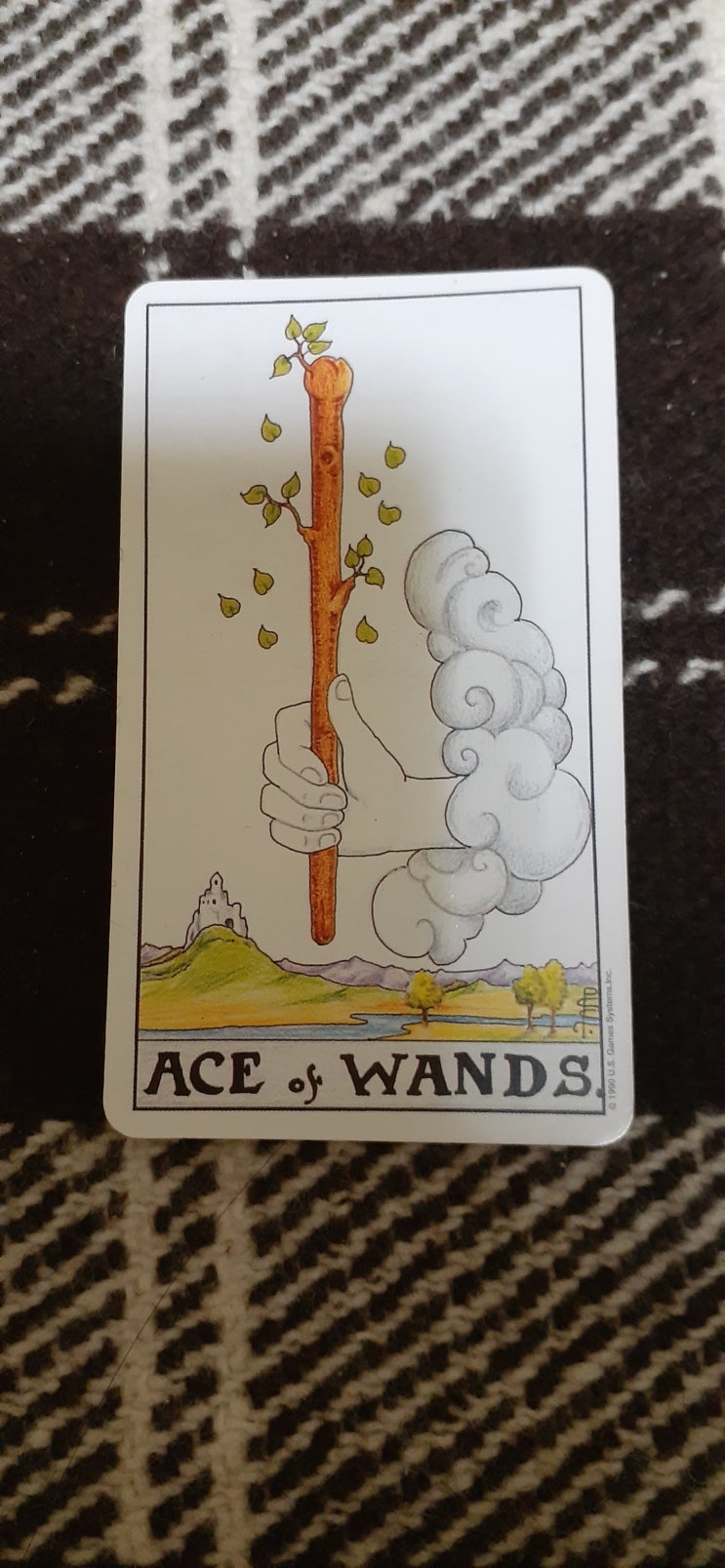 Ace of Wands타로카드