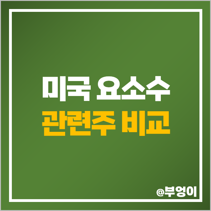 요소수 관련주 대장주 IDXX 테마주 미국 주식 비교 요소수 관련주 대장주 IDXX 테마주 미국 주식 비교