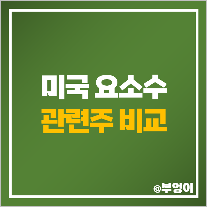 요소수 관련주 대장주 IDXX 테마주 미국 주식 비교