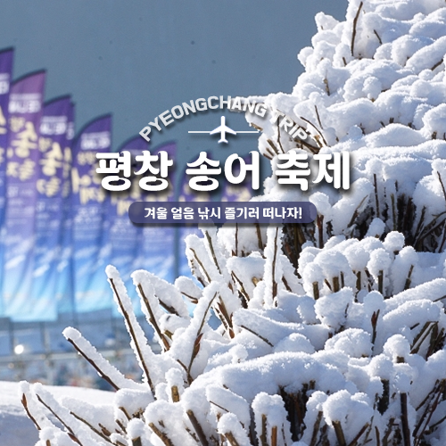 12월 열리는 평창 송어 축제 개막일 프로그램 주차 정보