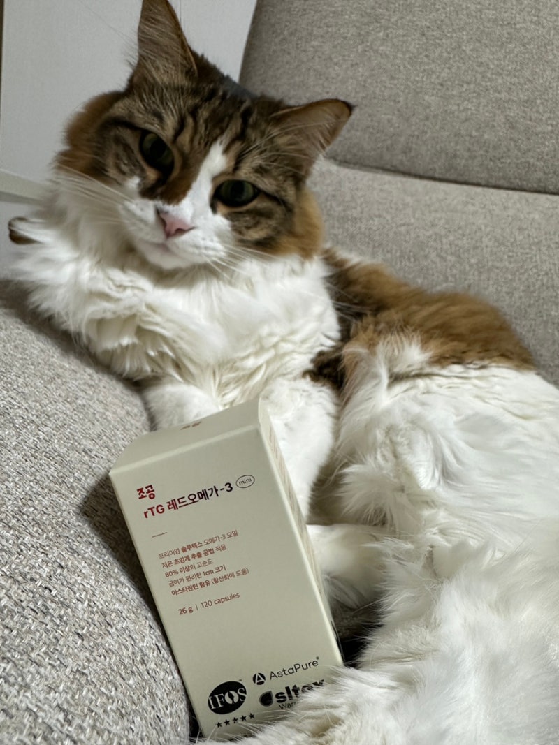 조공 레드 오메가3 미니 리뷰 / 고양이 오메가3 영양제, 완제품까지 IFOS 5스타 인증 고양이 오....