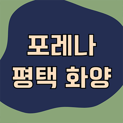 포레나 평택 화양 미분양아파트 화양지구 한화건설 현덕면 대단지 줍줍 잔여세대 분양가 모델하우스 위치