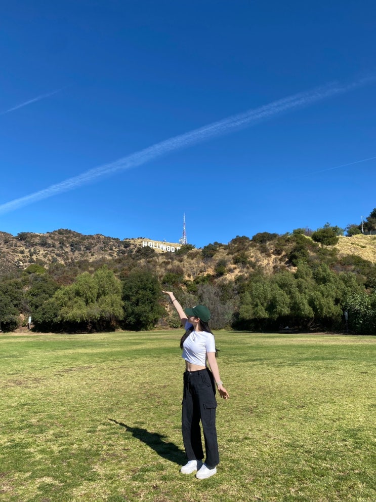  Hollywood / 북창동순두부 LA 본점