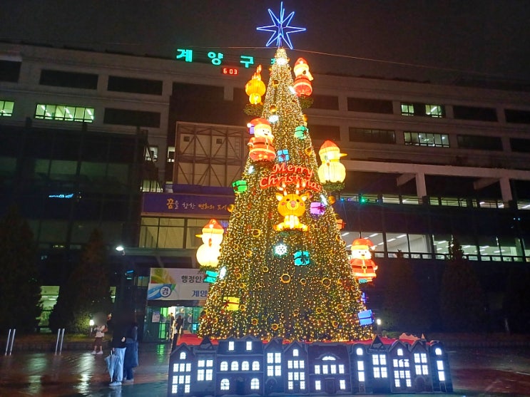 인천 대형트리 화려한 크리스마스 계양구청 트리 계양 빛 축제 인천 대형트리 화려한 크리스마스 계양구청 트리 계양 빛 축제