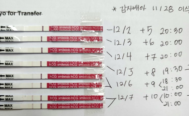  난임일기21. 수지마리아 시험관1차-1차 & 2차 피검사 더블링, 8~10일차 증상