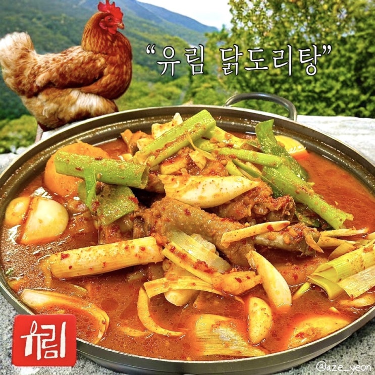  [ 염창 / 맛집 ] 전참시 이영자맛집 유림닭도리탕_식객허영만의 백반기행, 닭볶음탕맛집, 염창맛집, 등촌맛집, 유림닭도리탕 주차, 예약, 테이블링, 강서구맛집, 토종닭맛집