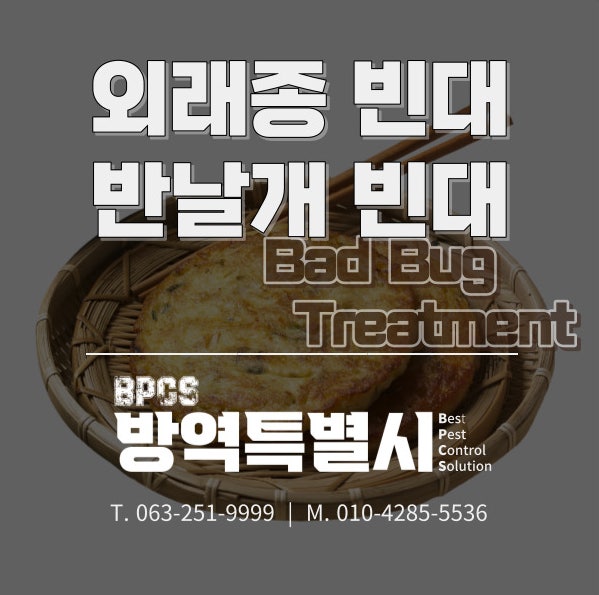  전주 빈대 퇴치 업체