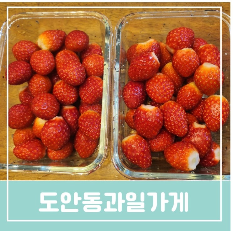 대전 도안동과일가게 아이 간식 신선한 과일 딸기 샤인머스캣 블루베리 고르는 법 올바른 냉장보관방법 대전 도안동과일가게 아이 간식 신선한 과일 딸기 샤인머스캣 블루베리 고르는 법 올바른 냉장보관방법