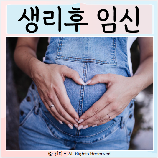 생리후 임신가능성 가임이 임신가능 기간 정자생존기간