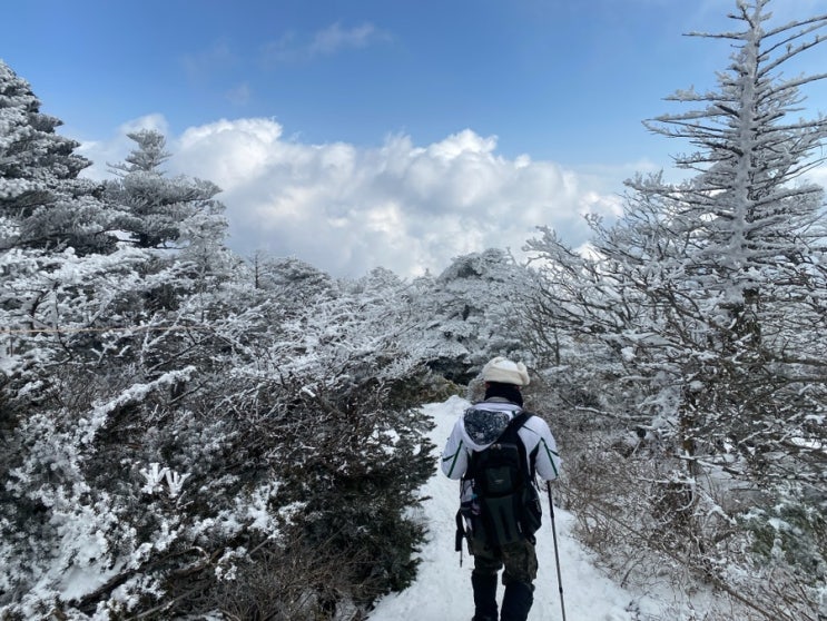  12~2월 겨울 한라산 등반 후기와 필수 장비 및 예약하기 정보+등산복 추천