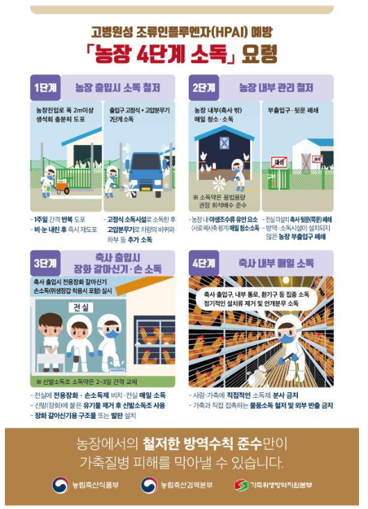 전남 무안 육용오리 농장,조류인플루엔자 H5형 항원 검출 전남 무안 육용오리 농장,조류인플루엔자 H5형 항원 검출