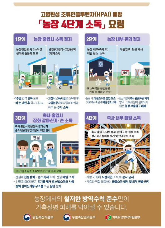 전남 무안 육용오리 농장,조류인플루엔자 H5형 항원 검출