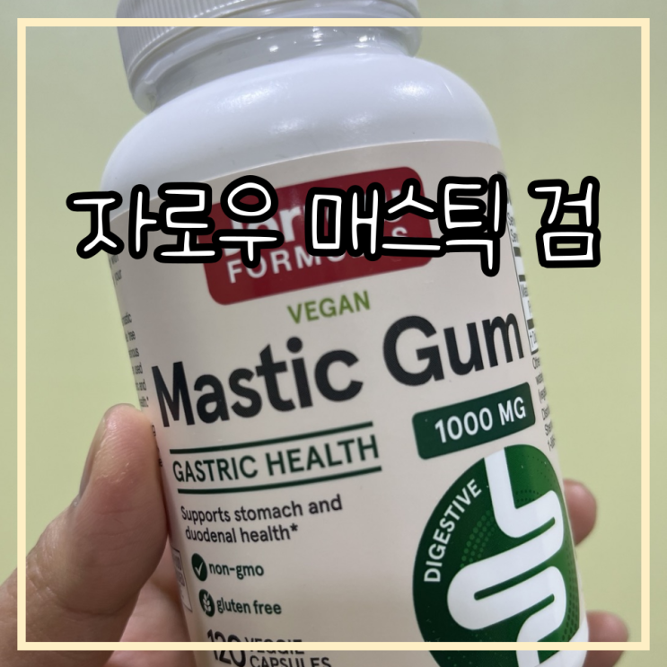[자로우] 매스틱 검 영양제 4개월간 먹은 효과는?/Jarrow formulas vegan Mastic Gum