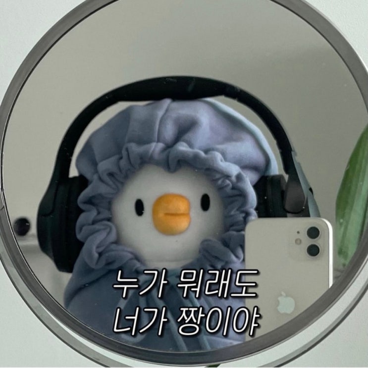  무릎MRI하러 입원했다가 BMAC까지2+ 퇴원과 약간의 후기 (수원윌스기념병원)