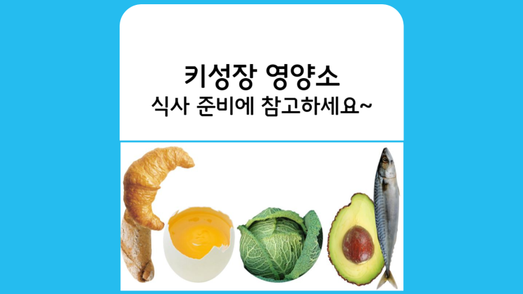  분당성장판검사 병원(정자동 서현동 판교)과 알아보는 체지방빼는법