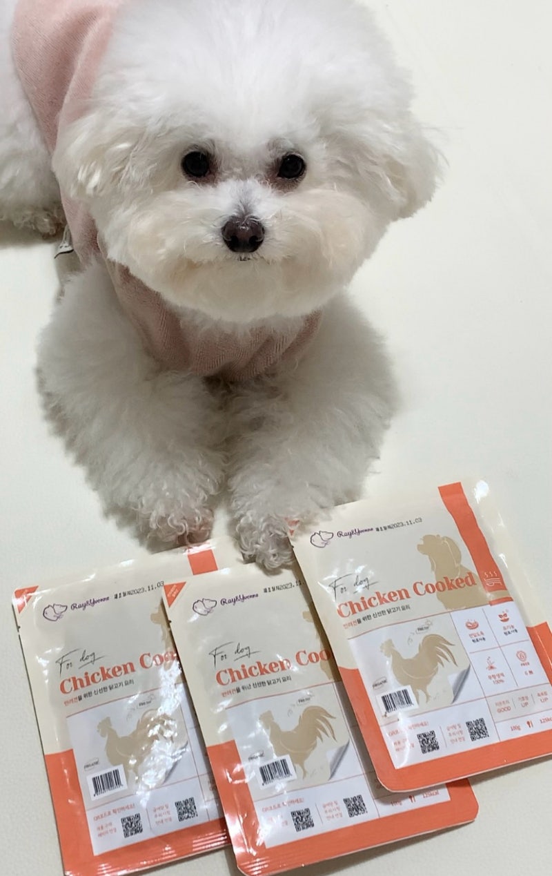 강아지 자연식 화식 레이앤이본 닭고기 소고기