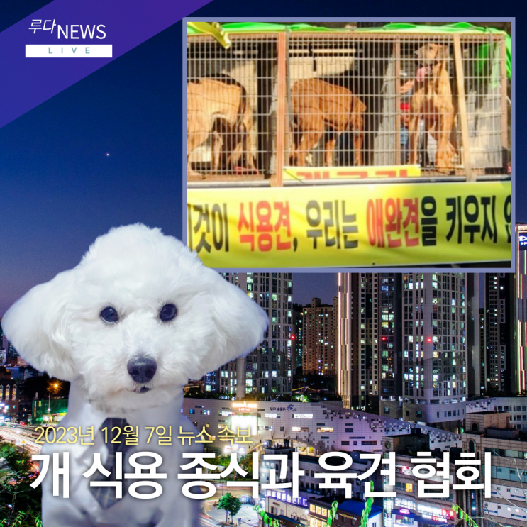 개<b>식용 금지</b> 종식 특별법 및 육견협회 대응